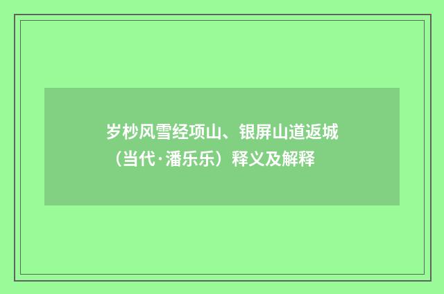 岁杪风雪经项山、银屏山道返城（当代·潘乐乐）释义及解释