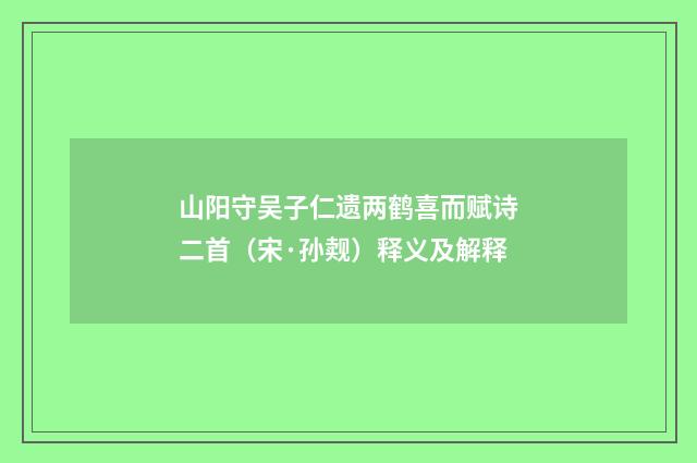 山阳守吴子仁遗两鹤喜而赋诗二首（宋·孙觌）释义及解释