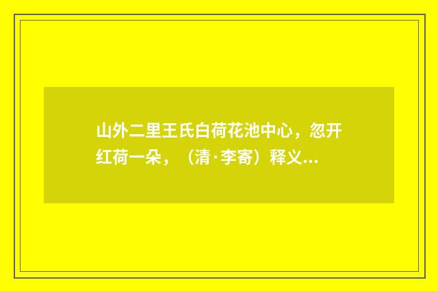 山外二里王氏白荷花池中心，忽开红荷一朵，（清·李寄）释义及解释