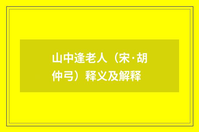 山中逢老人（宋·胡仲弓）释义及解释