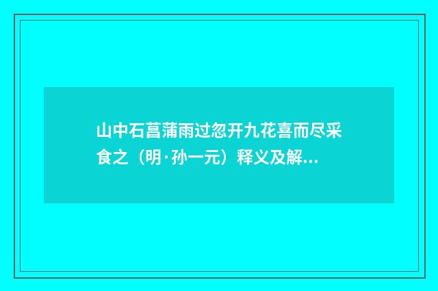 山中石菖蒲雨过忽开九花喜而尽采食之（明·孙一元）释义及解释