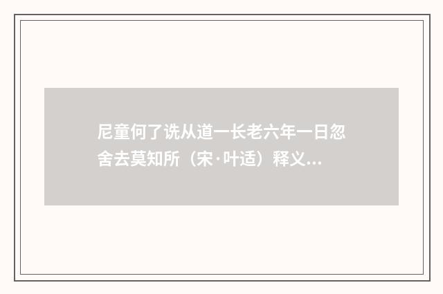 尼童何了诜从道一长老六年一日忽舍去莫知所（宋·叶适）释义及解释