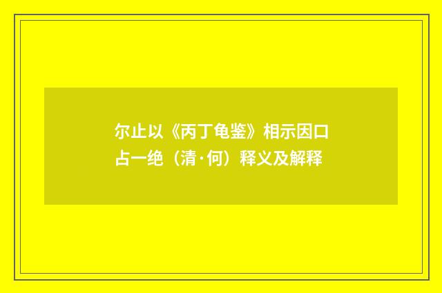 尔止以《丙丁龟鉴》相示因口占一绝（清·何）释义及解释