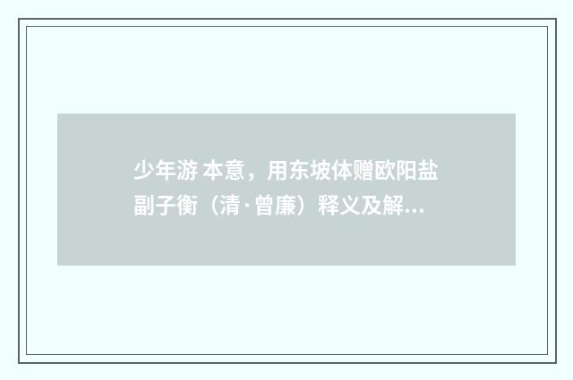 少年游 本意，用东坡体赠欧阳盐副子衡（清·曾廉）释义及解释