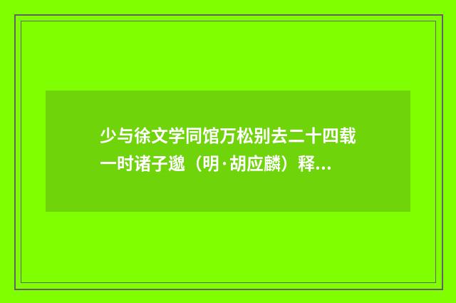 少与徐文学同馆万松别去二十四载一时诸子邈（明·胡应麟）释义及解释