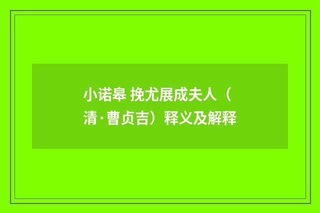 小诺皋 挽尤展成夫人（清·曹贞吉）释义及解释