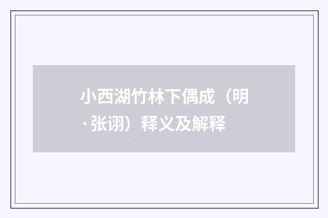 小西湖竹林下偶成（明·张诩）释义及解释