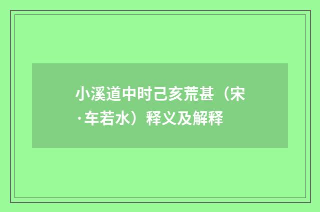 小溪道中时己亥荒甚（宋·车若水）释义及解释