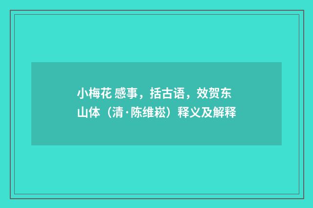 小梅花 感事，括古语，效贺东山体（清·陈维崧）释义及解释
