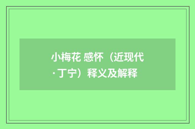 小梅花 感怀（近现代·丁宁）释义及解释