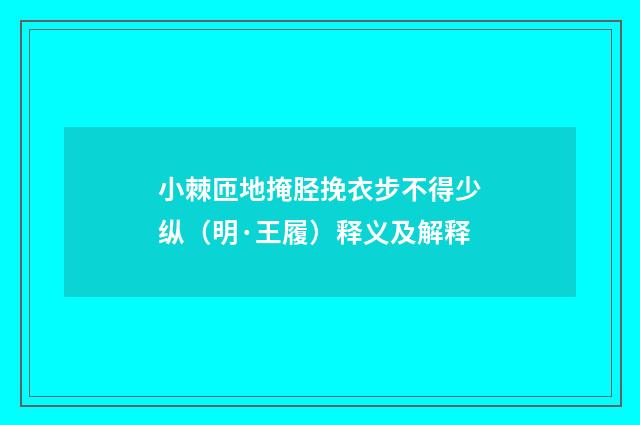 小棘匝地掩胫挽衣步不得少纵（明·王履）释义及解释