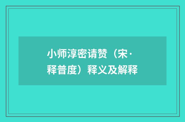 小师淳密请赞（宋·释普度）释义及解释