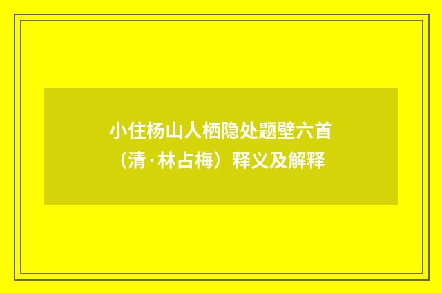 小住杨山人栖隐处题壁六首（清·林占梅）释义及解释