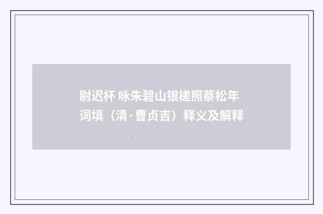 尉迟杯 咏朱碧山银槎照蔡松年词填（清·曹贞吉）释义及解释