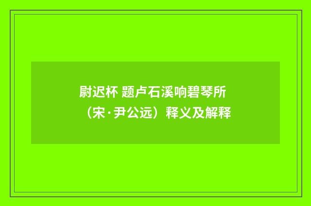 尉迟杯 题卢石溪响碧琴所（宋·尹公远）释义及解释