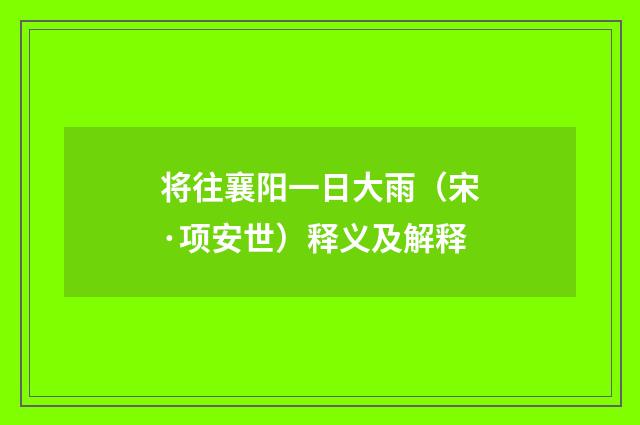 将往襄阳一日大雨（宋·项安世）释义及解释