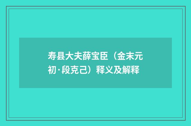 寿县大夫薛宝臣（金末元初·段克己）释义及解释