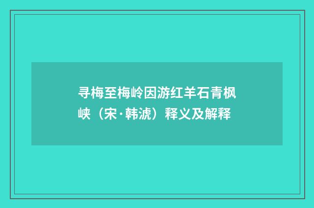 寻梅至梅岭因游红羊石青枫峡（宋·韩淲）释义及解释