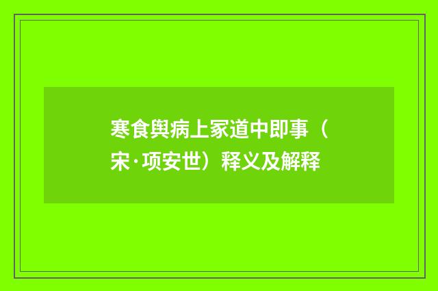 寒食舆病上冢道中即事（宋·项安世）释义及解释