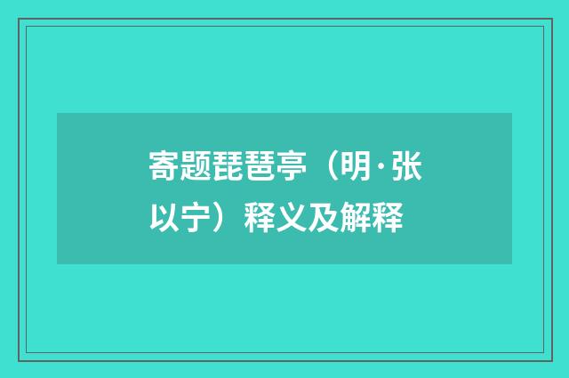 寄题琵琶亭（明·张以宁）释义及解释