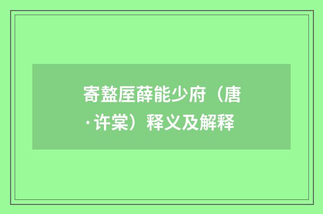寄盩厔薛能少府（唐·许棠）释义及解释