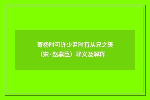 寄杨时可许少尹时有从兄之丧（宋·赵鼎臣）释义及解释