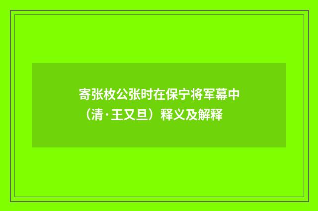 寄张枚公张时在保宁将军幕中（清·王又旦）释义及解释
