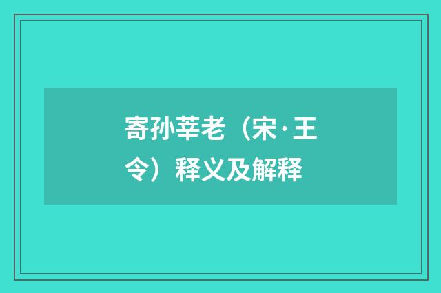 寄孙莘老（宋·王令）释义及解释