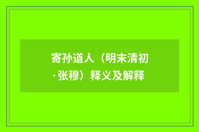 寄孙道人（明末清初·张穆）释义及解释