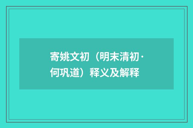 寄姚文初（明末清初·何巩道）释义及解释