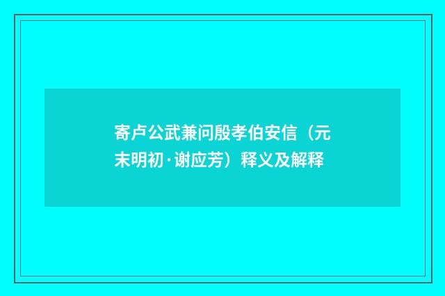 寄卢公武兼问殷孝伯安信（元末明初·谢应芳）释义及解释