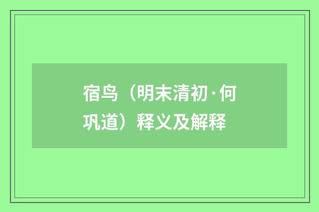 宿鸟（明末清初·何巩道）释义及解释