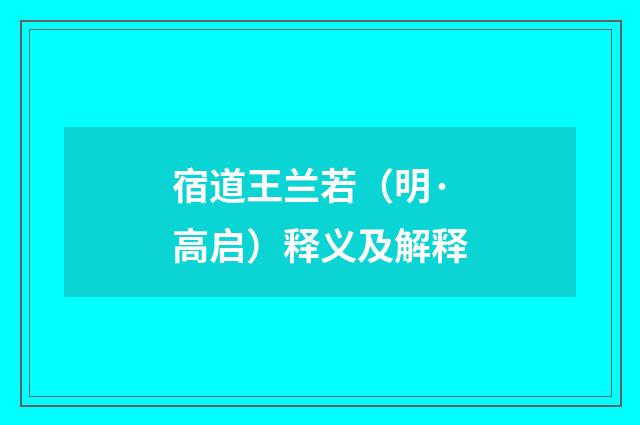 宿道王兰若（明·高启）释义及解释