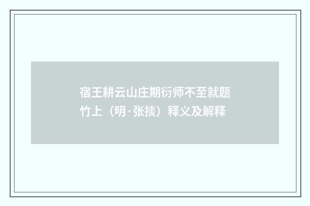 宿王耕云山庄期衍师不至就题竹上（明·张掞）释义及解释