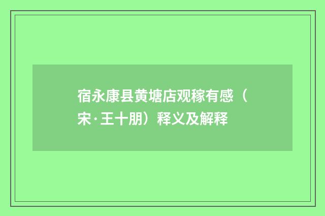 宿永康县黄塘店观稼有感（宋·王十朋）释义及解释