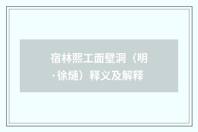 宿林熙工面壁洞（明·徐熥）释义及解释