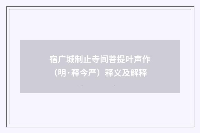 宿广城制止寺闻菩提叶声作（明·释今严）释义及解释