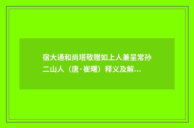 宿大通和尚塔敬赠如上人兼呈常孙二山人（唐·崔曙）释义及解释