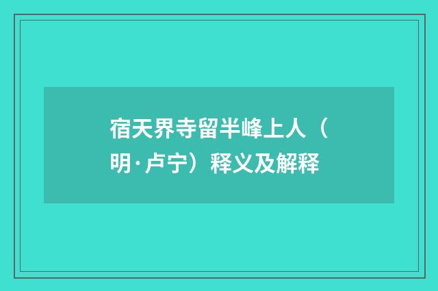 宿天界寺留半峰上人（明·卢宁）释义及解释