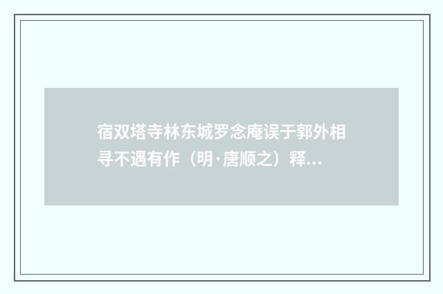 宿双塔寺林东城罗念庵误于郭外相寻不遇有作（明·唐顺之）释义及解释