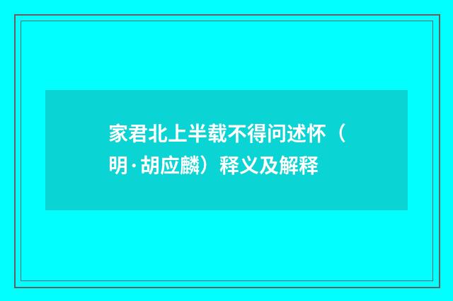 家君北上半载不得问述怀（明·胡应麟）释义及解释
