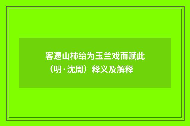 客遗山柿绐为玉兰戏而赋此（明·沈周）释义及解释