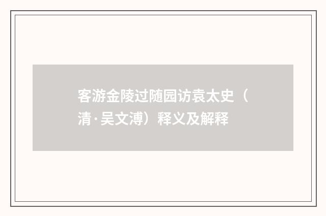 客游金陵过随园访袁太史（清·吴文溥）释义及解释