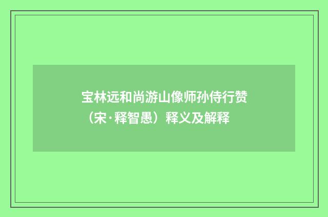 宝林远和尚游山像师孙侍行赞（宋·释智愚）释义及解释