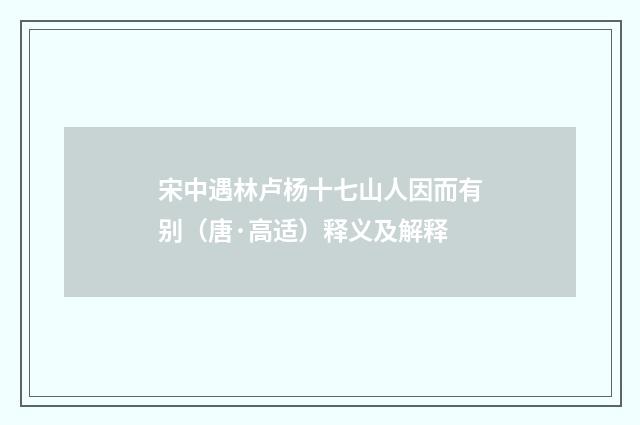 宋中遇林卢杨十七山人因而有别（唐·高适）释义及解释