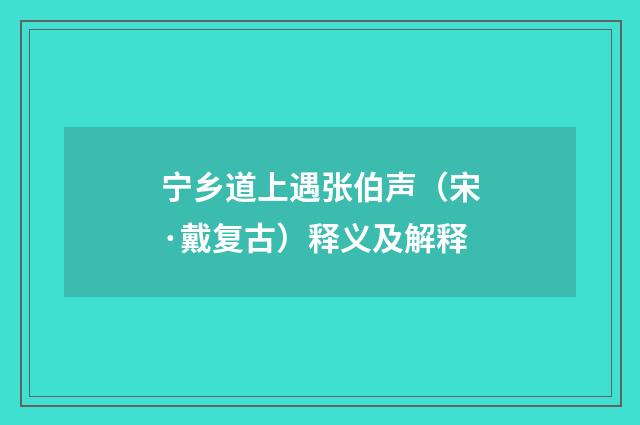 宁乡道上遇张伯声（宋·戴复古）释义及解释