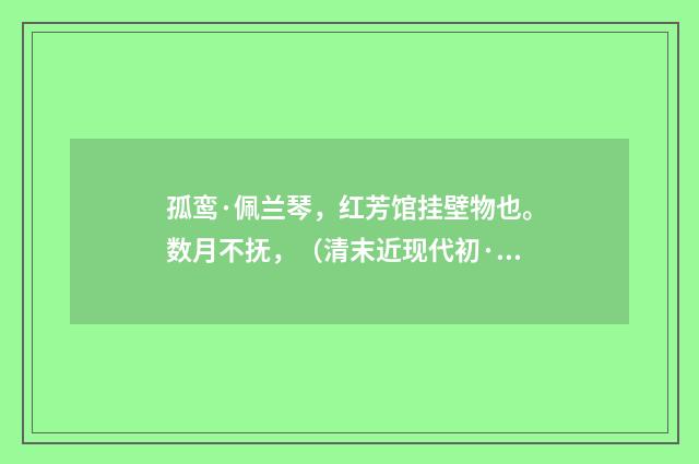 孤鸾·佩兰琴，红芳馆挂壁物也。数月不抚，（清末近现代初·潘飞声）释义及解释