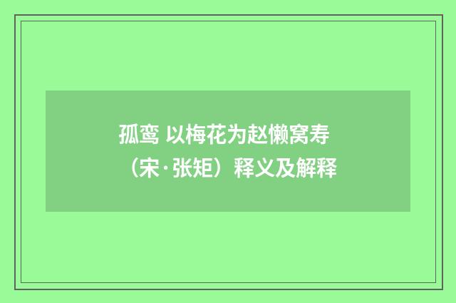 孤鸾 以梅花为赵懒窝寿（宋·张矩）释义及解释