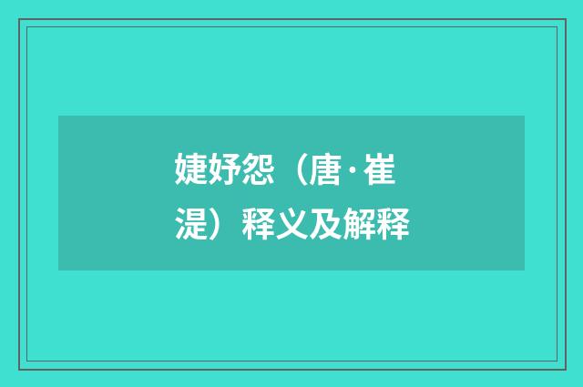婕妤怨（唐·崔湜）释义及解释