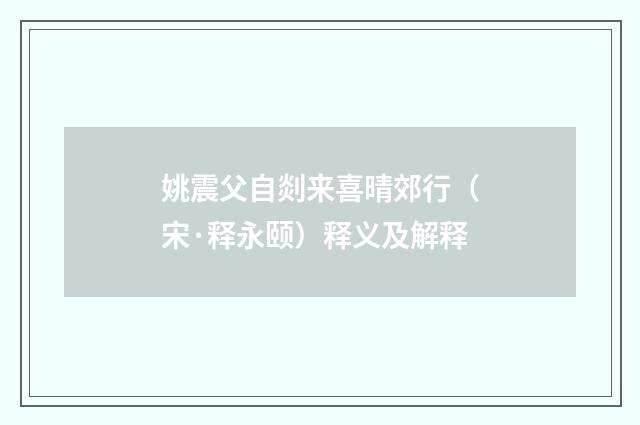 姚震父自剡来喜晴郊行（宋·释永颐）释义及解释
